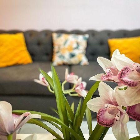 Hostal De Lucca Guatemala Dış mekan fotoğraf