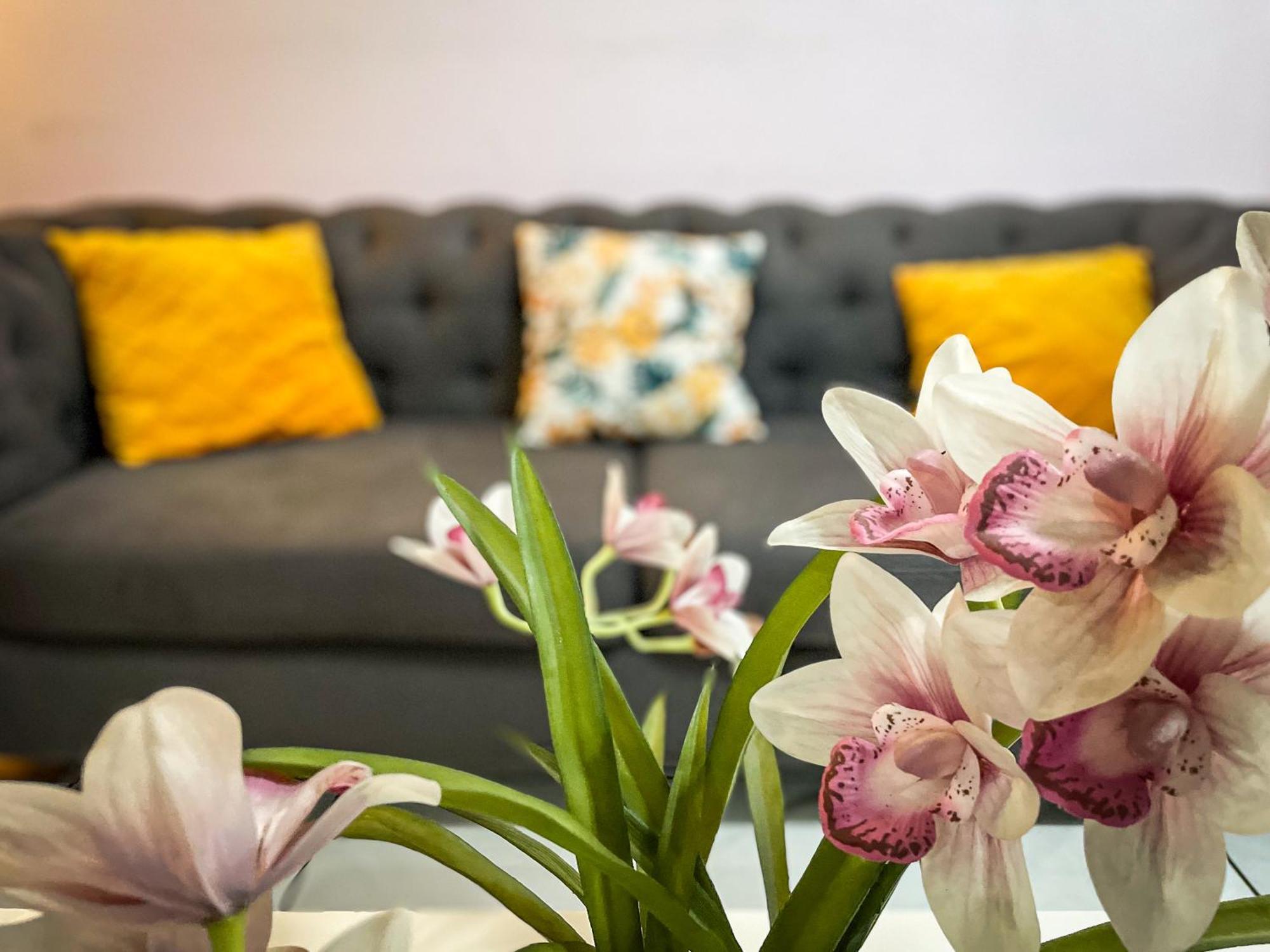 Hostal De Lucca Guatemala Dış mekan fotoğraf